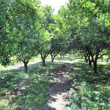 El Alpendre Vega de San Mateo