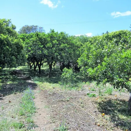 Tatil Evi El Alpendre Vega de San Mateo