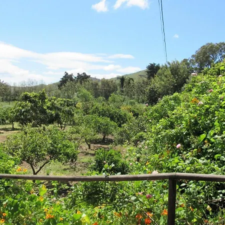 Tatil Evi El Alpendre *